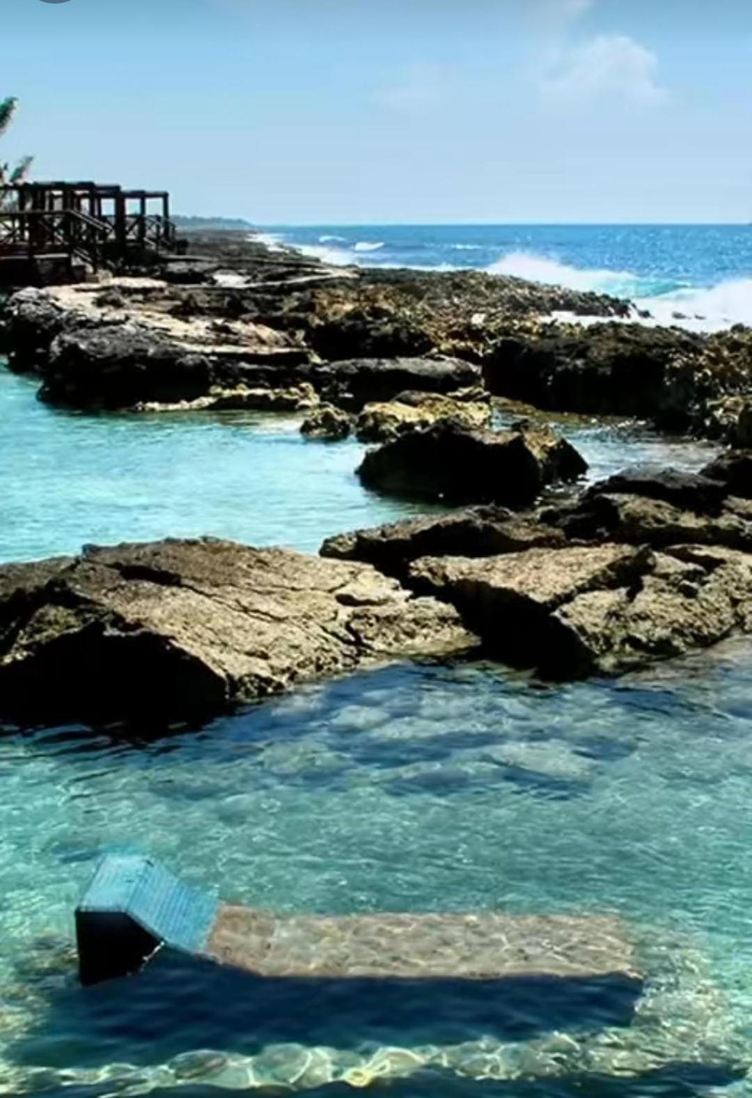 Апартаменти Puerto Aventuras, Departamento A Unos Pasos De La Playa Екстер'єр фото