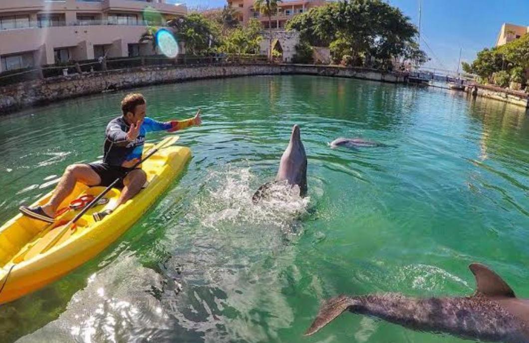 Апартаменти Puerto Aventuras, Departamento A Unos Pasos De La Playa Екстер'єр фото